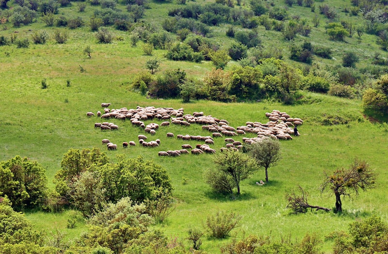Kumsalda Güneş Yanığına Karşı Doğal Çözümler Kumsalda Güneş Yanığına Karşı Doğal Çözümler