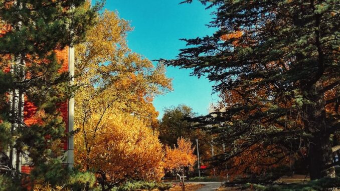 uploaded-image-kumsalda-gunes-yaniklari-nasil-tedavi-edilir-1696687395108